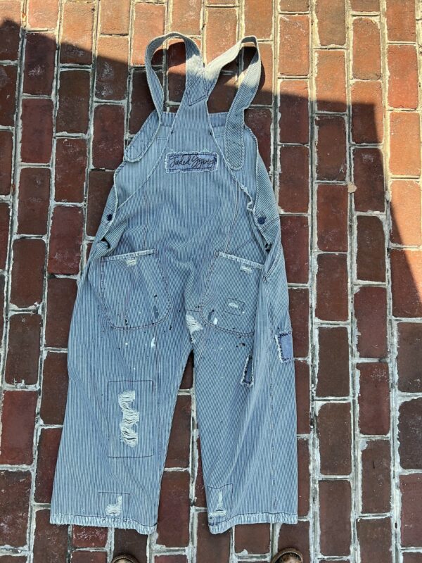 Pin Stripe Distressed Overalls